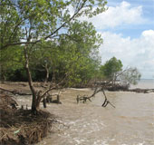 Vietnam is supported to adapt to climate change