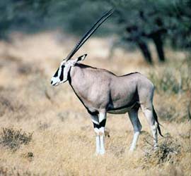 Vietnam - Netherlands cooperation on biodiversity