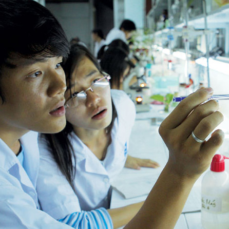 Vietnam overtakes Thailand in innovation