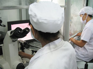 Vietnam: Preparing stem cell transplantation to regenerate skin tissue