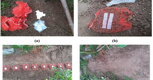 Vietnam produces biodegradable plastic bags into ... water