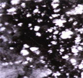 Vietnam satellite obtained the first photo