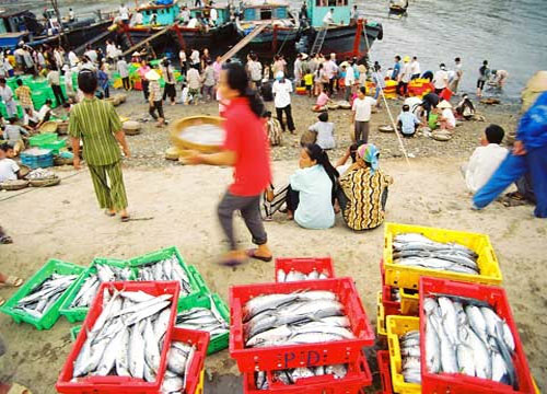 Vietnam sea water contaminated with radiation?