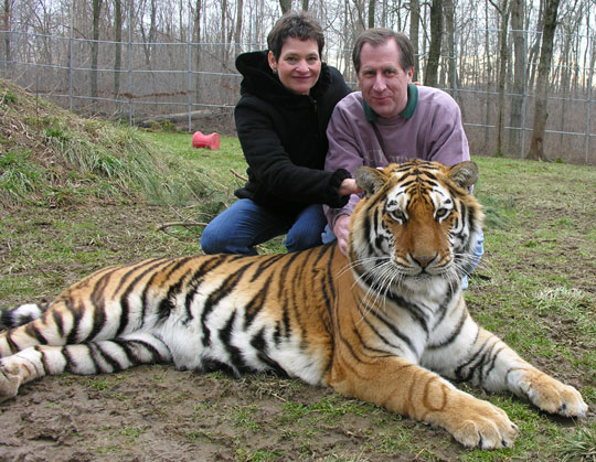 Vietnam strengthens law enforcement of tiger protection