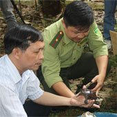 Vietnam welcomed 71 turtles