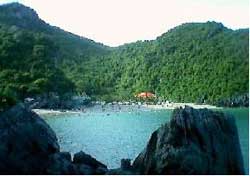 Vietnam will have a Biodiversity Law