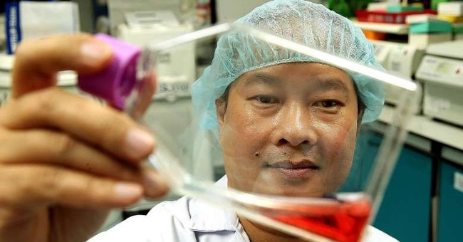 Vietnamese doctors turned umbilical cord into a source of 6 billion stem cells