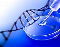 Vietnamese people will have DNA tags