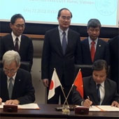 Vietnam-Japan is studying genetically modified cassava varieties