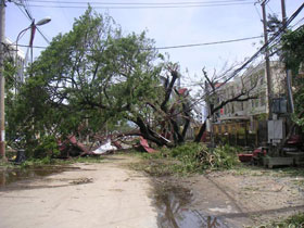 View from the perspective of climate change