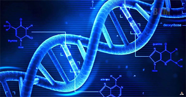 Vingroup spent money on 1,000 Vietnamese genome sequences