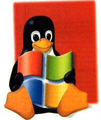 'Virtualize' multiple operating systems