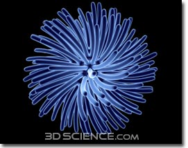 Virus helps safe pregnancy