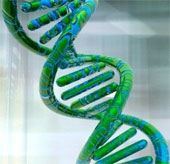 Virus makes people smarter?