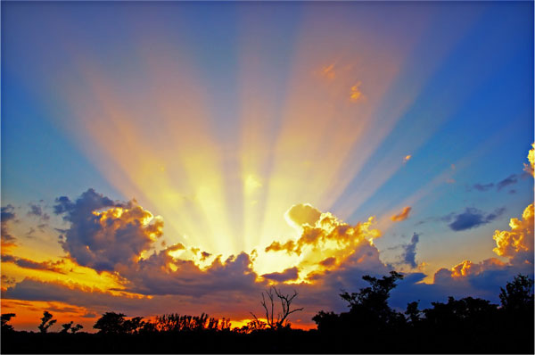 Vitamin D helps TB patients recover faster