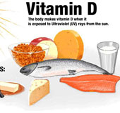 Vitamin D reduces the risk of bladder cancer