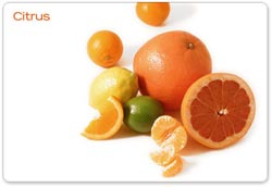 Vitamins and infectious diseases