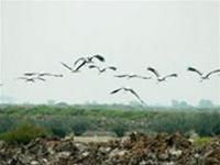 VN: nominated at least 5 new Ramsar sites before 2008