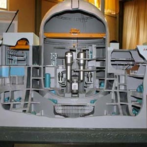 VN nuclear power before Japanese nuclear disaster