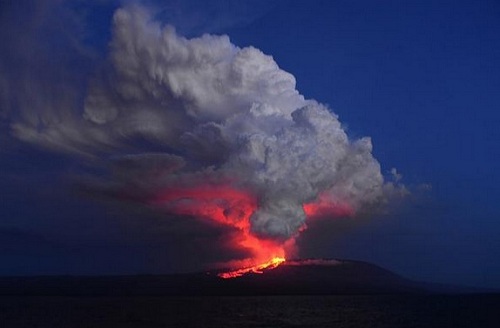 Volcanoes wake up, pink iguanas are in danger