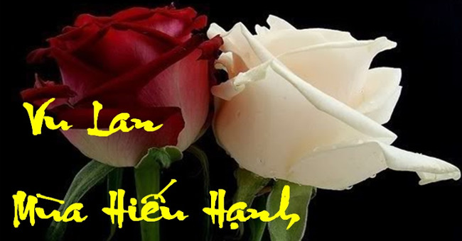 Vu Lan ceremony informs the tastes and meaning of the chest-set rose