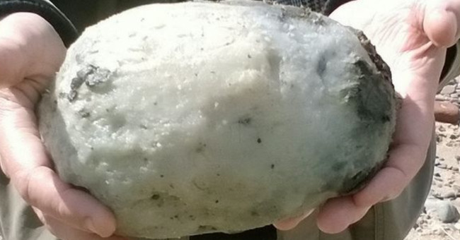 Walk on the beach, picking up precious precious ambergris