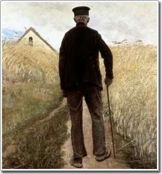 Walk regularly to combat brain aging