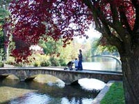Walking in the countryside helps treat depression