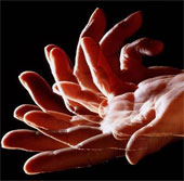 Want to learn fast?  Move your body parts