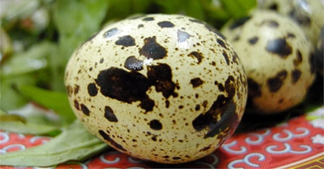Want to live long, every day should eat 5-6 quail eggs