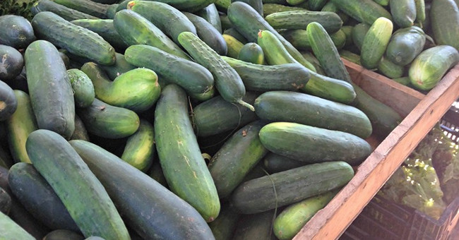 Warning: Deadly salmonella cucumber is spreading