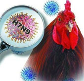 Warning for H7N9 flu can spread from person to person