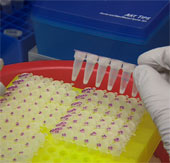 Warning for more dangerous Ebola virus changes