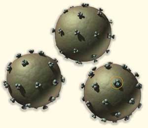Warning for new HIV strains