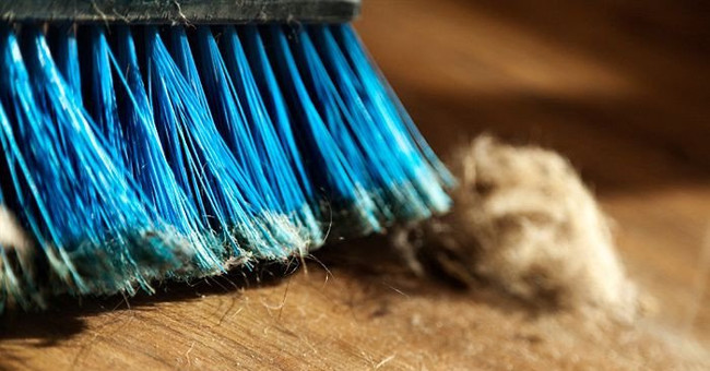 Warning: Found 45 new toxins in the dirt in the house