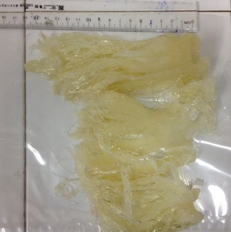 Warning of fake shark microbes, made of plastic