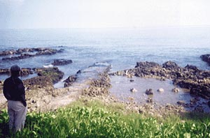 Warning of sea pollution