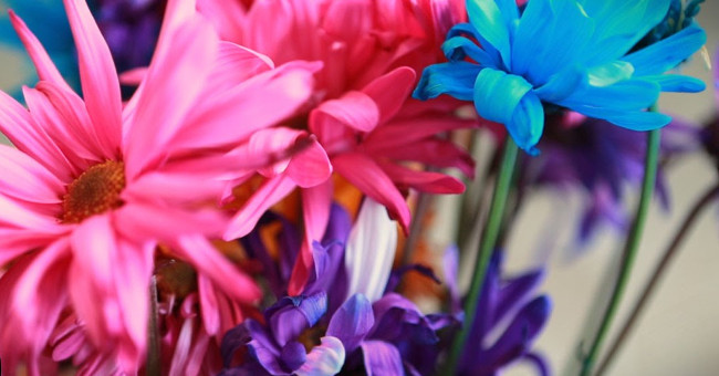 Washing flower vases will help fresh flowers longer