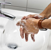 Washing your hands with warm water does not kill bacteria