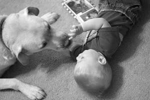 Watch out for dog-borne diseases