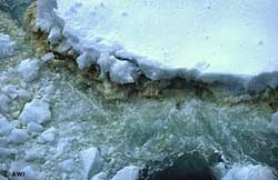 Water freeze: new irrigation