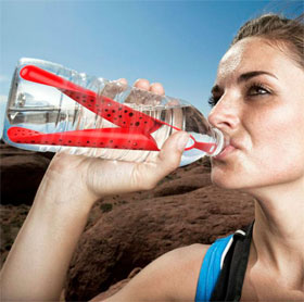 Water purifier in bottle