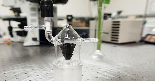 Water purifier inspired by rose tree
