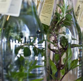 Water-saving technology saves time