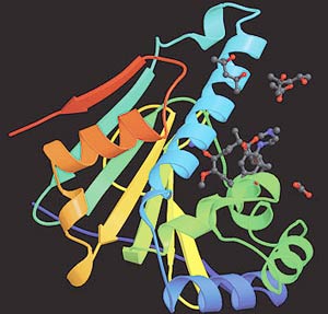 Wave of new generation of cancer treatment drugs