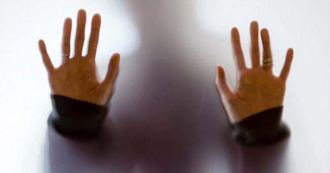 We can 'talk' to plant people