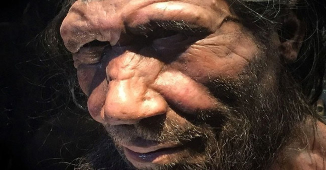We have become more extinct with the Neanderthals than we thought