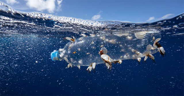 'We have been through the age of stone, copper, iron and now plastic, which is really scary.'