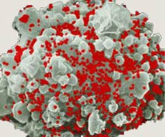 We were wrong about HIV