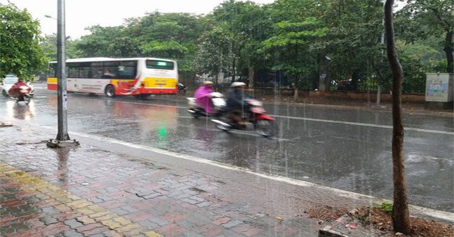 Weather on June 19: Hanoi has heavy rain, strong wind gusts